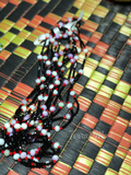 BUTTERFLY - Black, Purple Mix, & Red